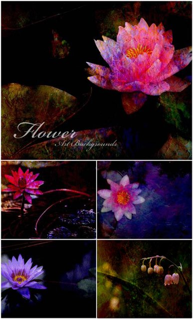 Flower Art Backgrounds -  