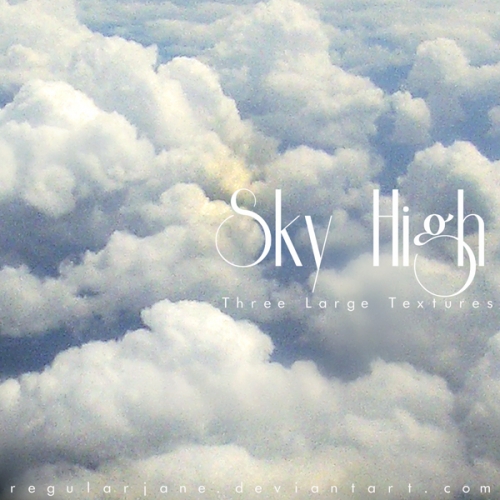 Regularjane's Sky High Pack -    
