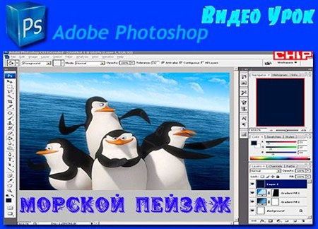  Photoshop    