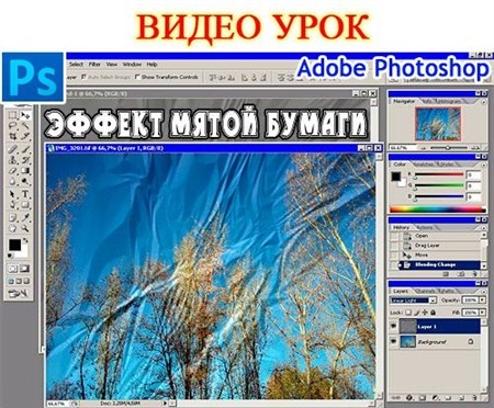  Photoshop   