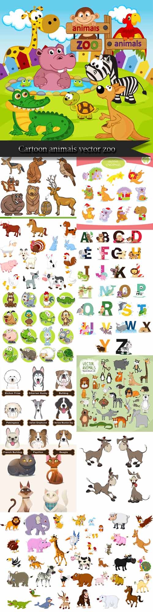 Cartoon animals vector zoo