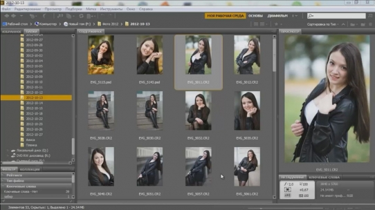    Adobe Bridge (2015)