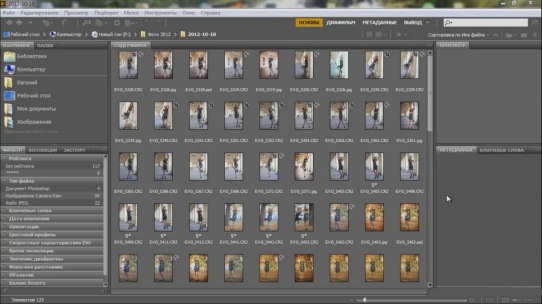    Adobe Bridge (2015)