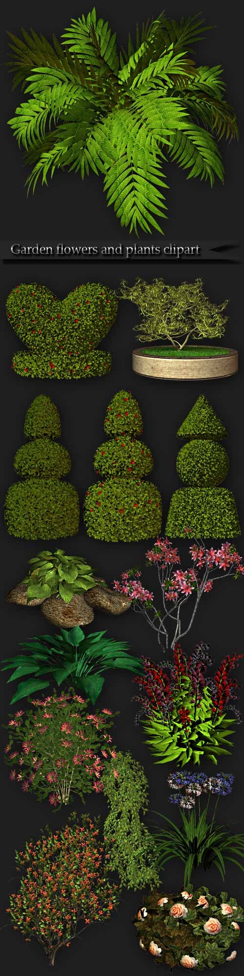 Garden flowers and plants clipart PNG