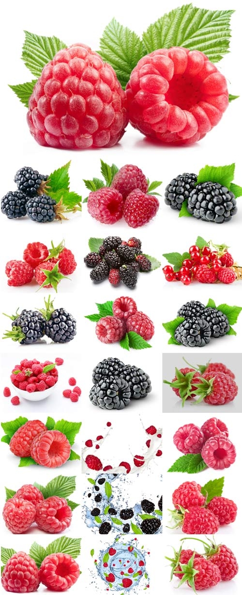 Raspberries and blackberries stock photos