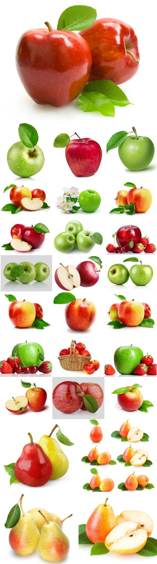 Apple and pear raster graphics