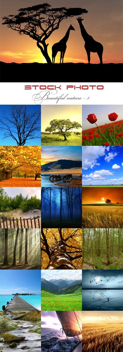 Beautiful nature raster graphics - 3