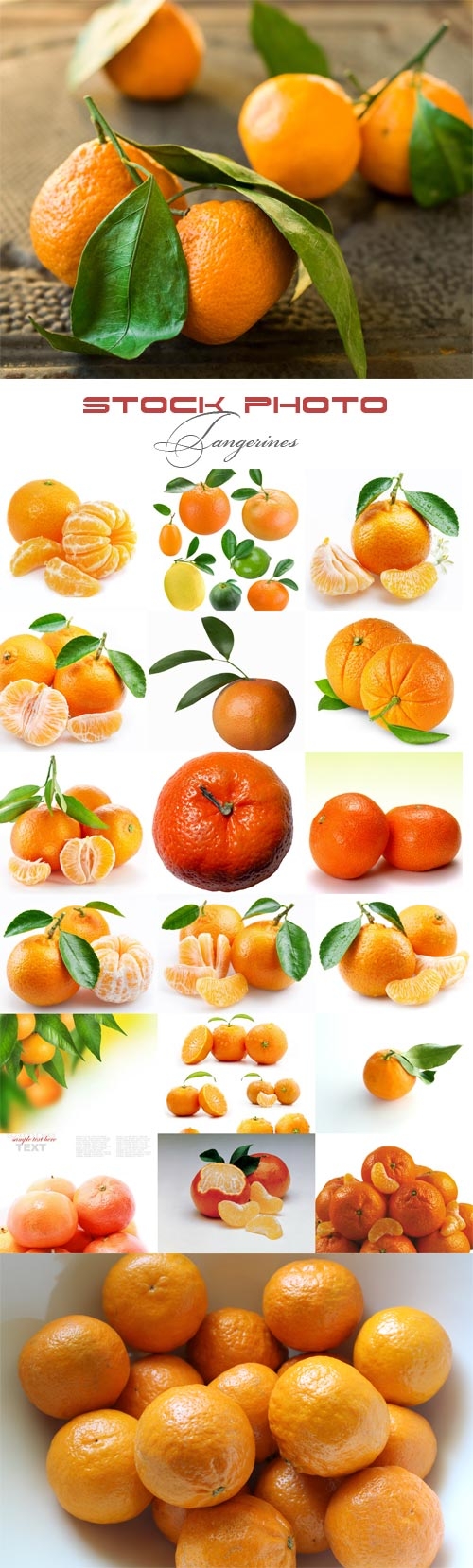 Tangerines raster graphics