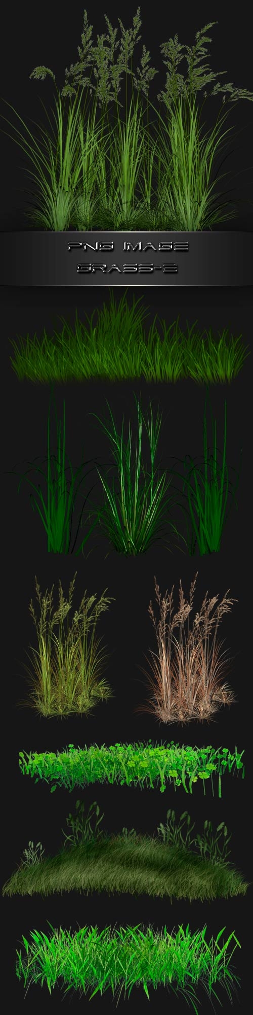 PNG clipart Grass - 2