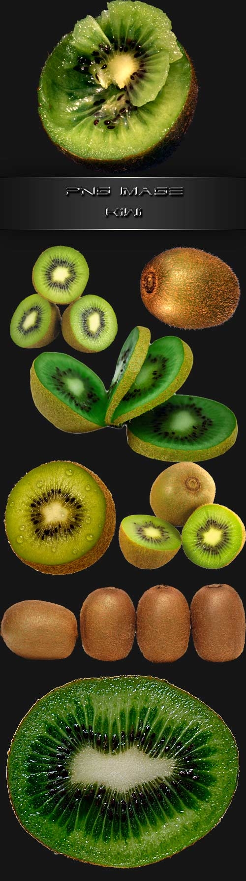 PNG clipart  Kiwi