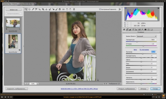    Adobe Camera Raw 7.4 (2014)