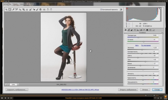    Adobe Camera Raw 7.4 (2014)