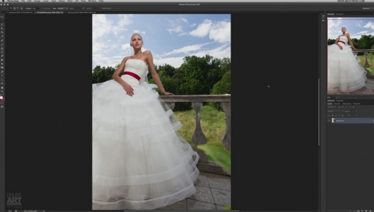   photoshop Art Wedding 