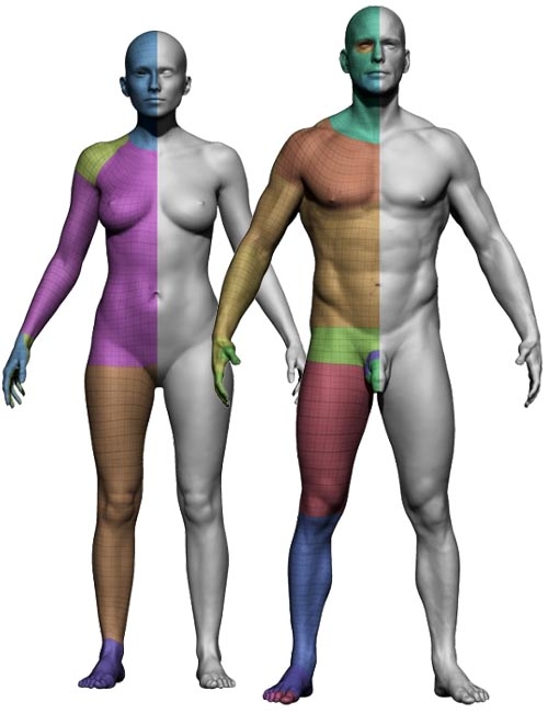 3D Scan Store  Male and Female Base Mesh Bundle: 3D    