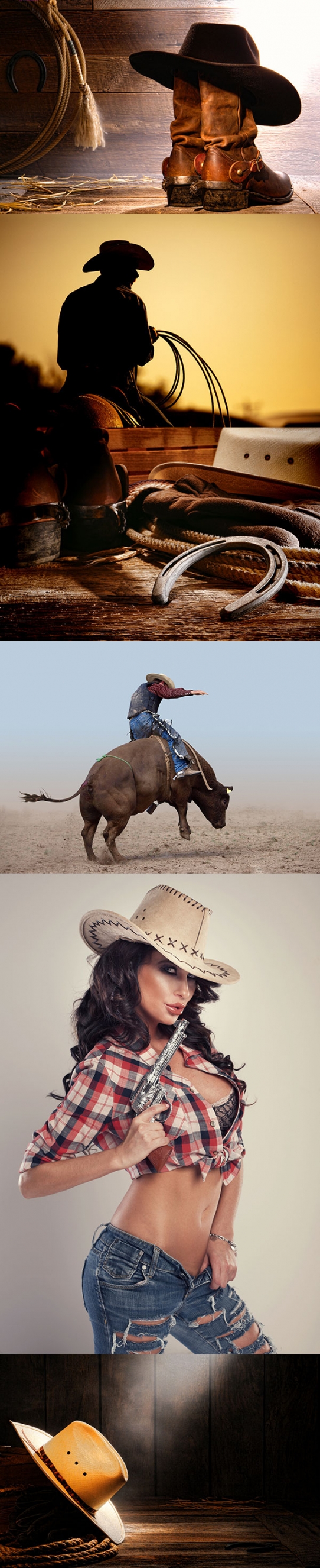 Stock Photo - Rodeo