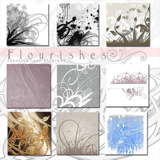  Rons Daviney - Flourishes photoshop brushes design