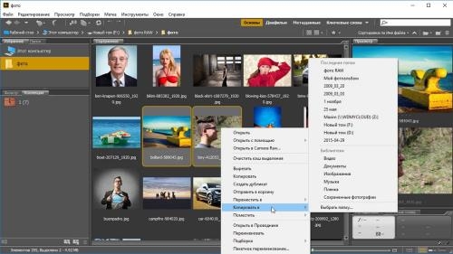      Adobe Bridge (2017)