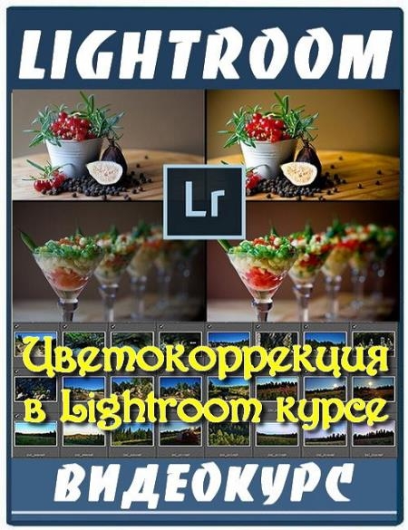   Lightroom  (2017)