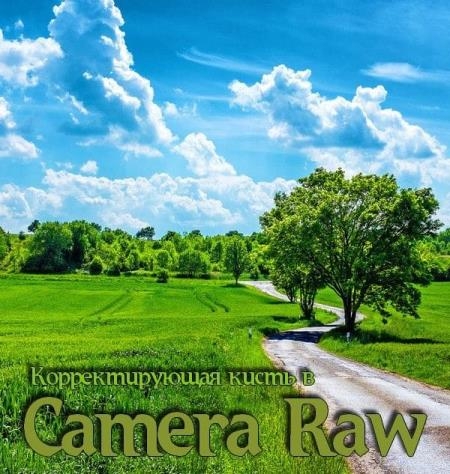    Camera Raw (2018)