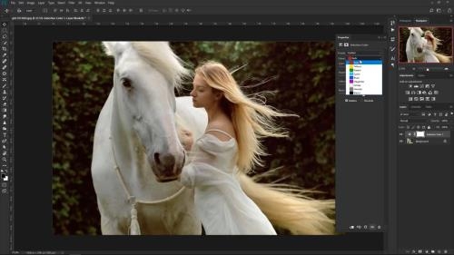   Adobe Camera Raw    (2018)