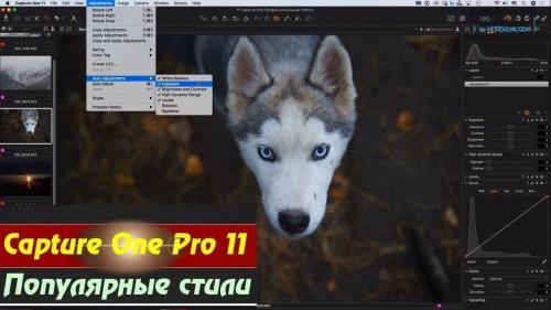 Capture One Pro 11.   (2018)