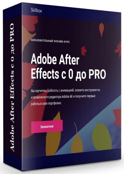 Adobe After Effects  0  PRO (2019)