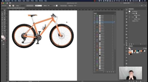 Adobe Illustrator.  .   (2020)