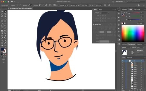      Adobe illustrator (2020)