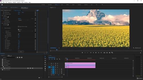 . Premiere Pro    (2020)