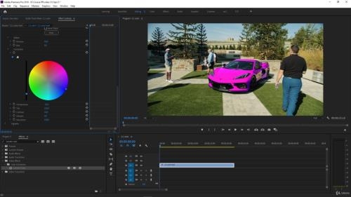 . Premiere Pro    (2020)