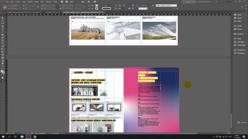 InDesign     (2021)