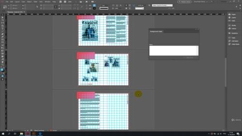 InDesign     (2021)