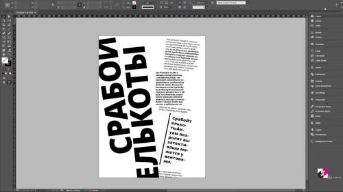 InDesign     (2021)