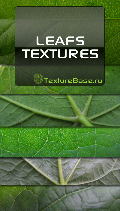 7 Green Leafs textures -  