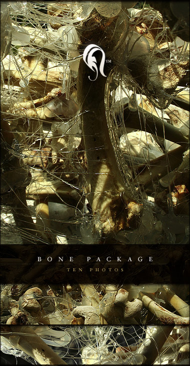 Package - Bone - 5 -   