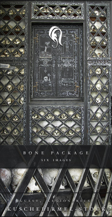 Package - Bone  6 - 