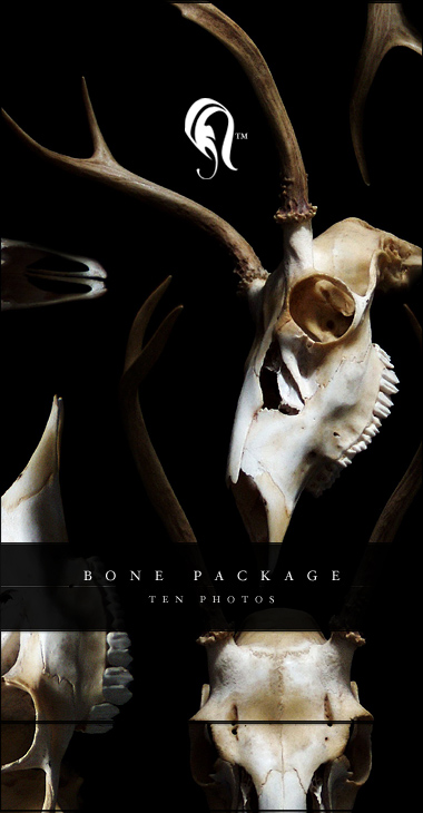 Package - Bone 0.5 - , 