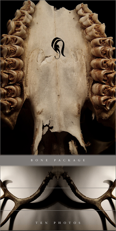 Package - Bone 2 - , , 