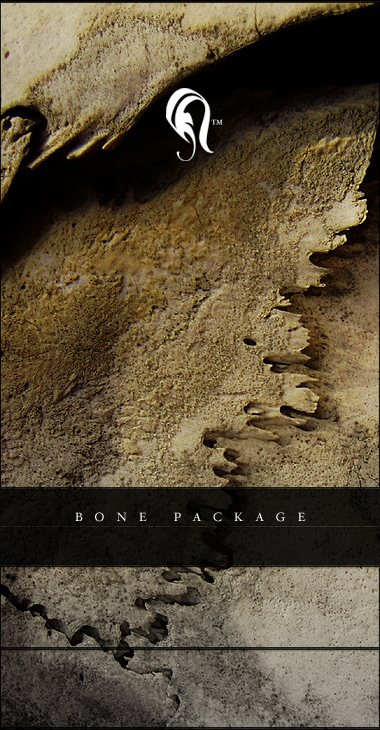 Package - Bone 3 - 