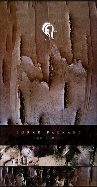 Package - Borkr 6 -   
