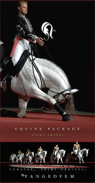 Package - Equine - 2 -  