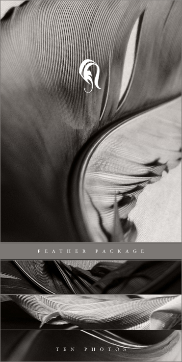 Package - Feather 2 -  . 