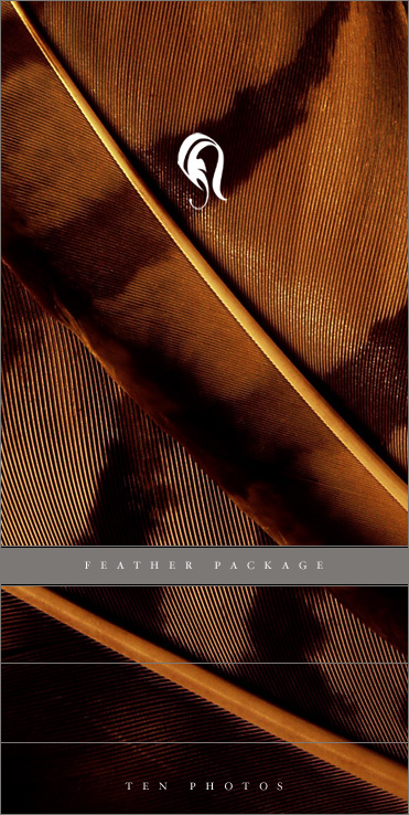 Package - Feather 4 -  . 