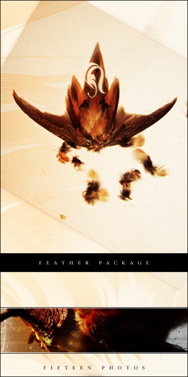 Package - Feather 5 -  . 