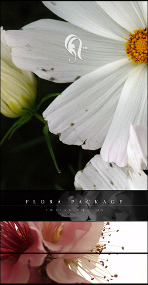 Package - Flora - 5 -  