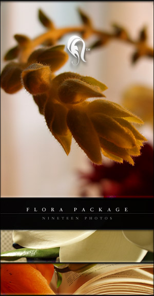 Package - Flora - 7 -  