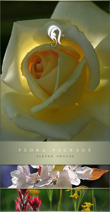 Package - Flora - 8 -  