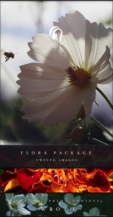 Package - Flora - 10 -  