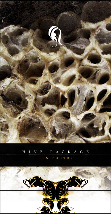Package - Hive - 1 - .  , ,  