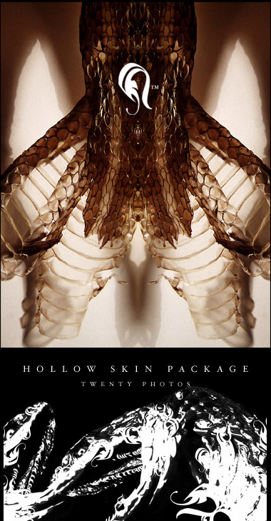 Package - HollowSkin 1 -   